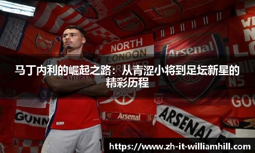 马丁内利的崛起之路：从青涩小将到足坛新星的精彩历程